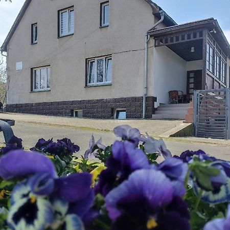 Agroturystyka Nad Bobrem Pilchowice Zewnętrze zdjęcie