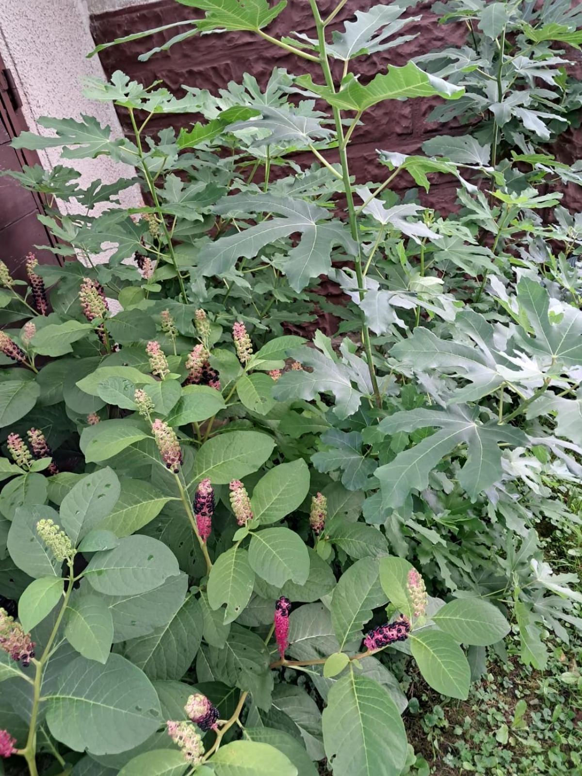 Agroturystyka Nad Bobrem Pilchowice Zewnętrze zdjęcie